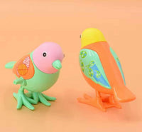Walking BIrd Toy For Children Perfect for Favors