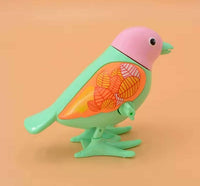Walking BIrd Toy For Children Perfect for Favors