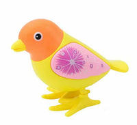 Walking BIrd Toy For Children Perfect for Favors
