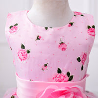 Flower Girl Dress