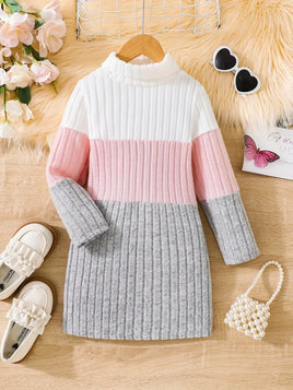 Block Sweater Dress